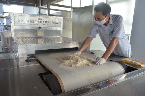 微波干燥機設備在食品加工業的應用特點