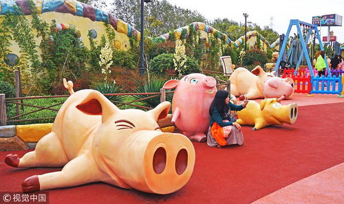 2019豬年,這些景點看豬 玩豬 保管你開心